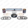 DELPHI TD177W Stub Axle Pins